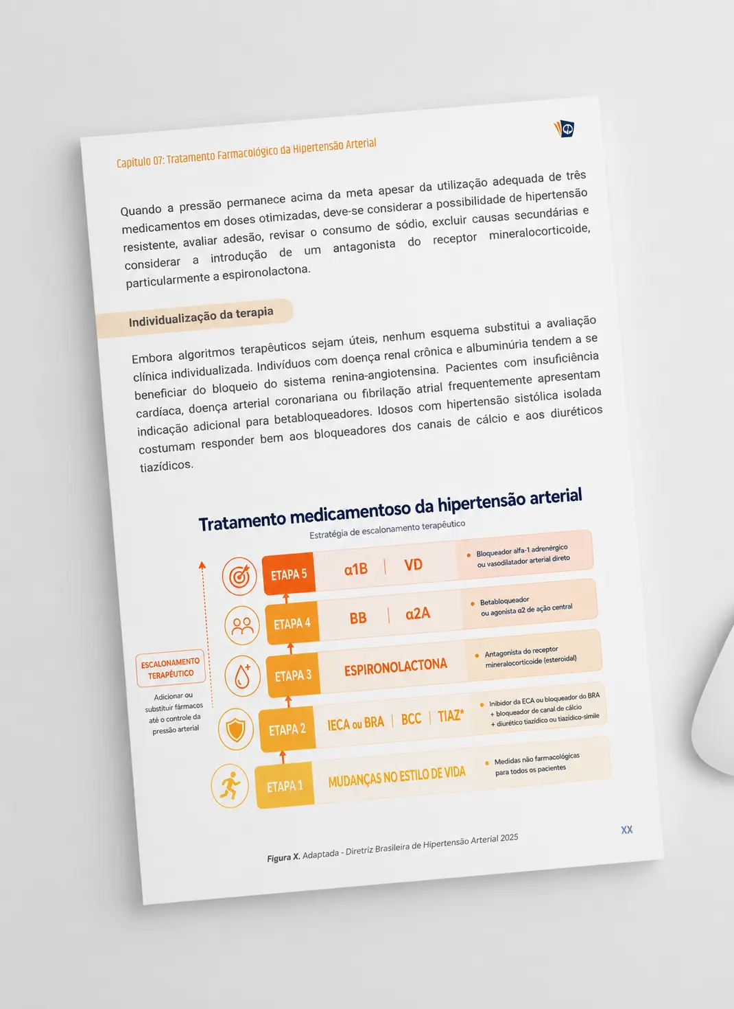 Fluxograma de tratamento da HAS